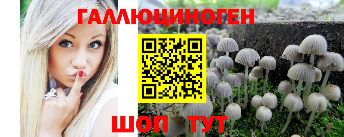 Галлюциногенные грибы MAGIC MUSHROOMS  как найти закладки  Железногорск  Вход с VPN 